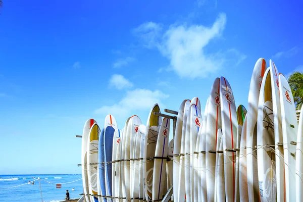 Où louer des planches de surf à Hendaye ?